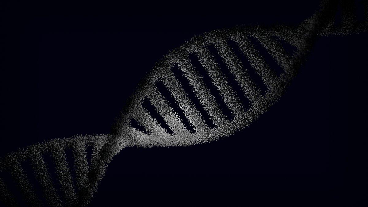 MS in Bioinformatics & Computational Biology Abroad for Indian Students: Programs and Careers