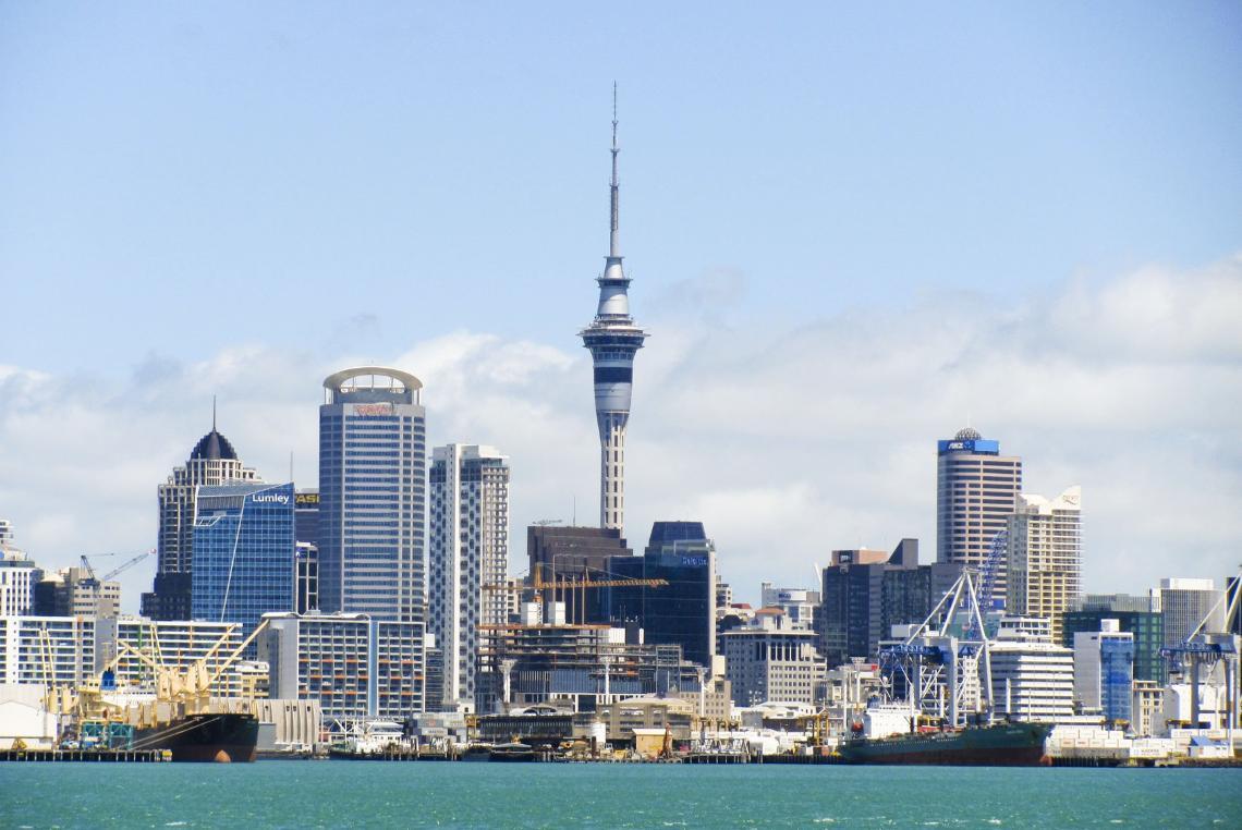 Top Highest-Paying Jobs in New Zealand...