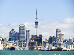 Top Highest-Paying Jobs in New Zealand