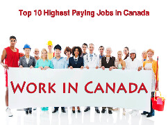 Top 10 Highest Paying Jobs in Canada